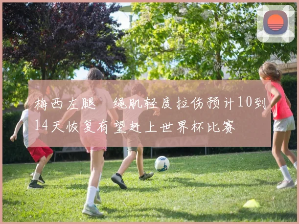梅西左腿腘绳肌轻度拉伤预计10到14天恢复有望赶上世界杯比赛