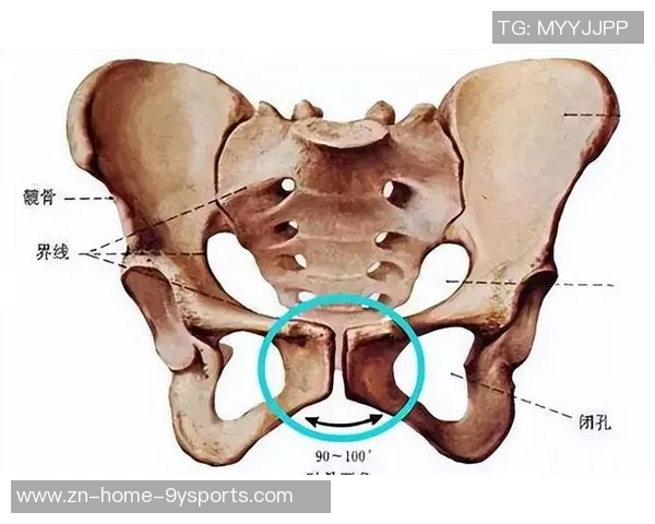 医生解析耻骨炎对亚马尔的影响及其过度使用损伤的成因与后果